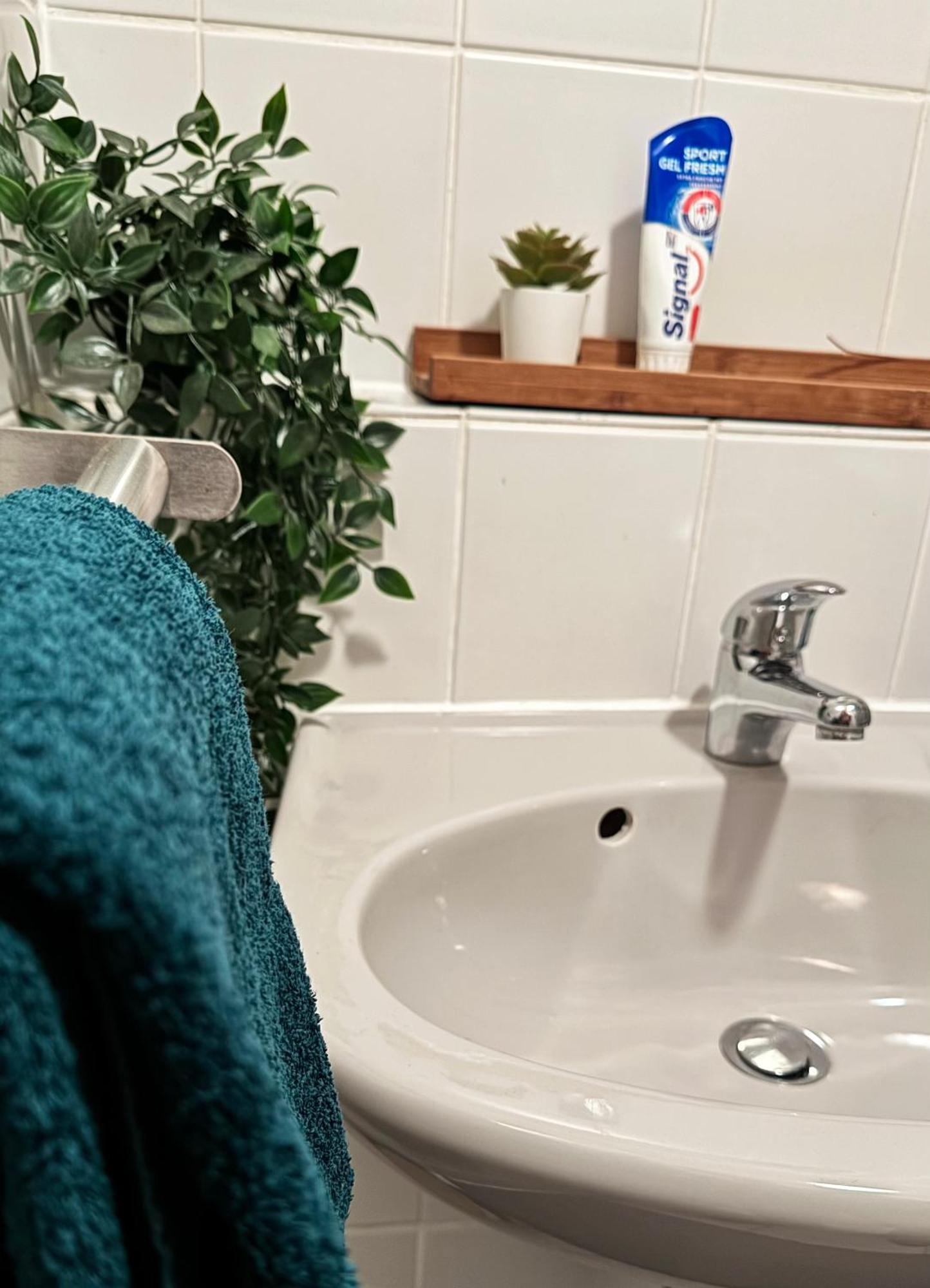 Zentrumnah Inklusive Parkplatz Jungle-Suite By Rentigo - Ruheoase Im Herzen Von Saarbruecken! Bagian luar foto